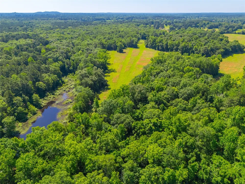 County Road 2592 Marietta, TX 75568
