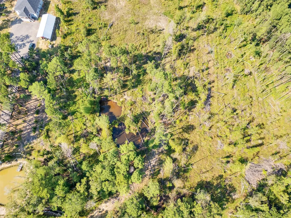 211 Thomas Windt Road Shepherd, TX 77371