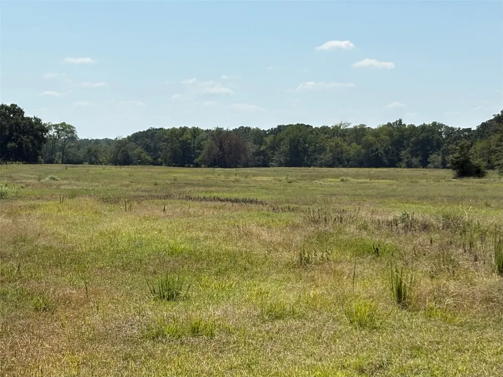 County Road 1168 #Tract 1 Brashear, TX 75420