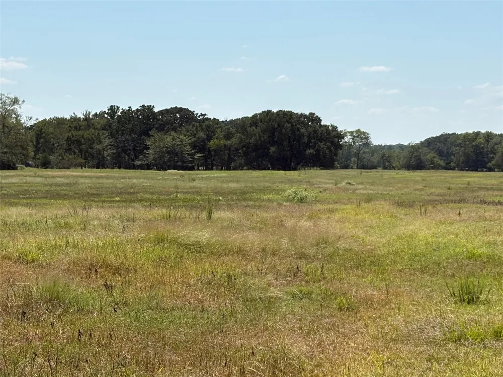 County Road 1168 #Tract 1 Brashear, TX 75420