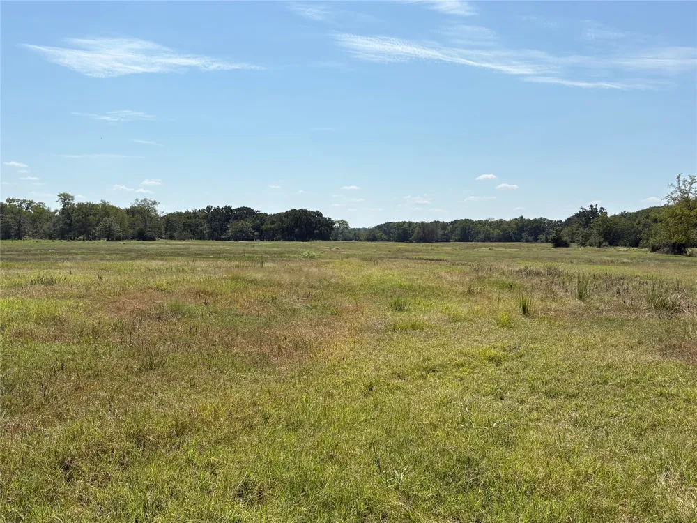 County Road 1168 #Tract 1 Brashear, TX 75420
