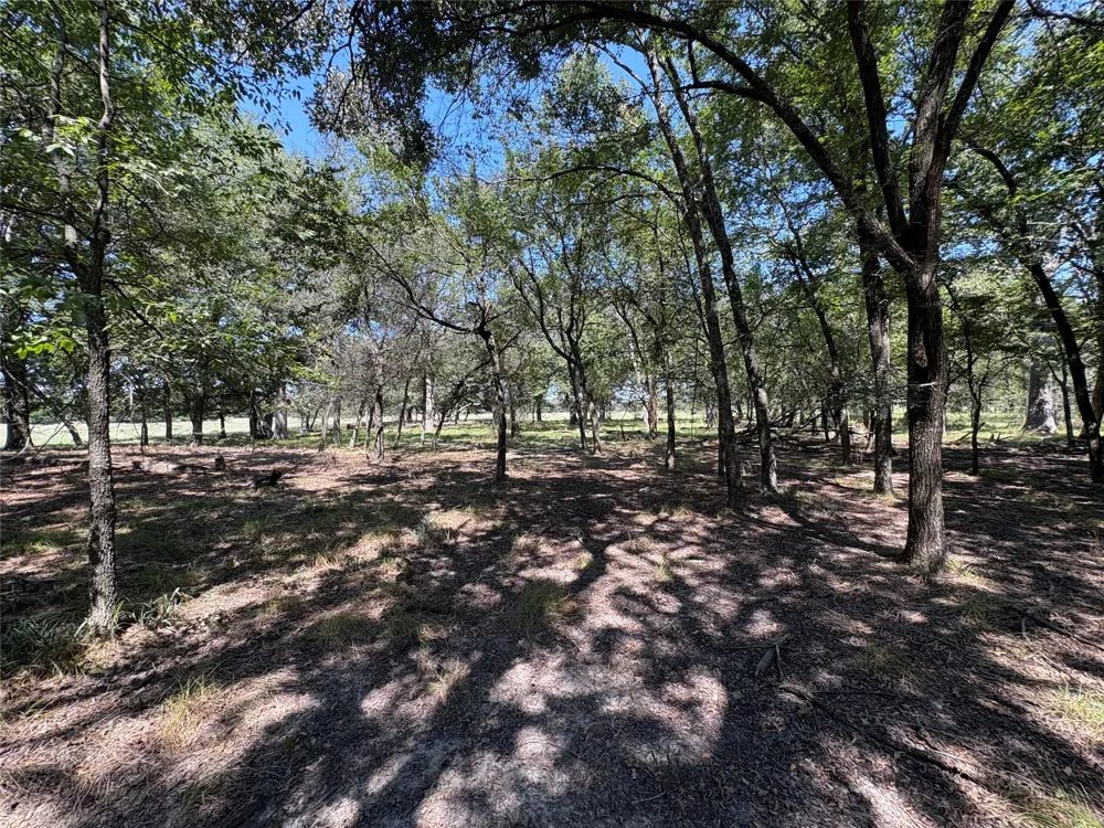 County Road 1168 #Tract 1 Brashear, TX 75420