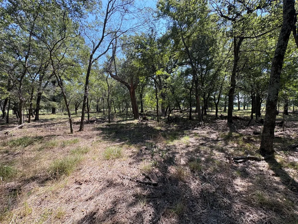 County Road 1168 #Tract 1 Brashear, TX 75420