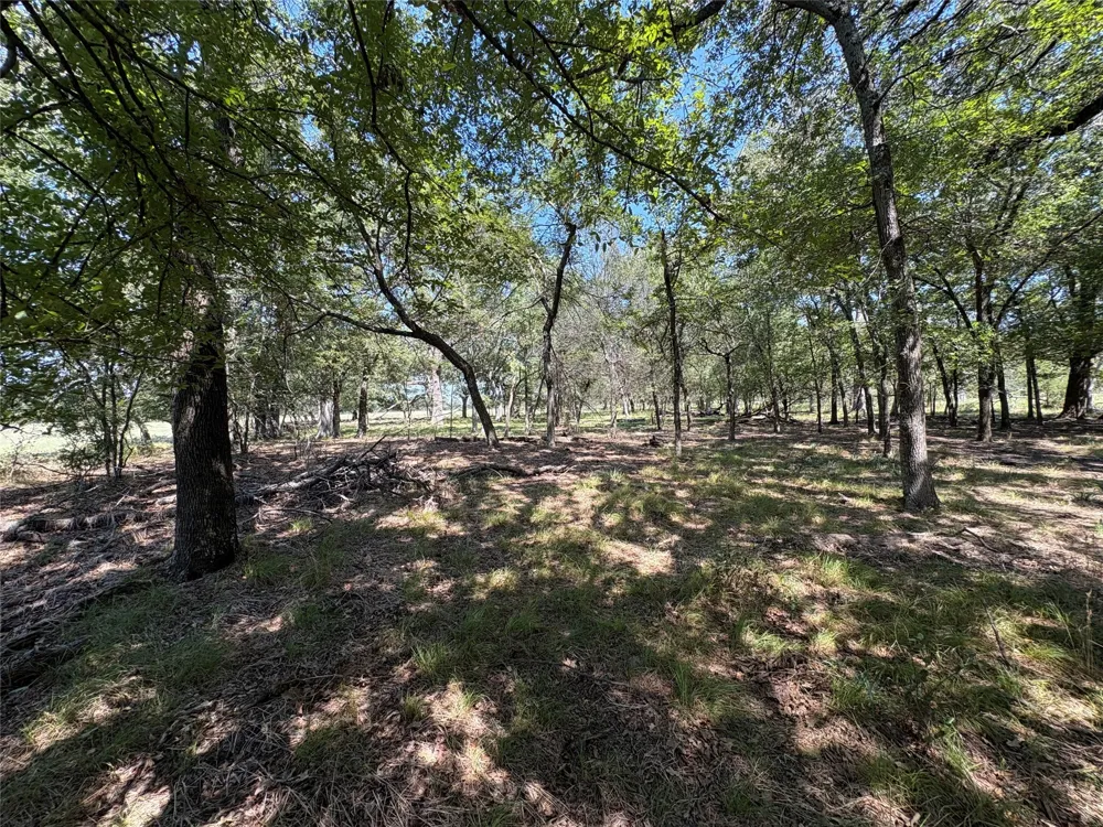 County Road 1168 #Tract 1 Brashear, TX 75420