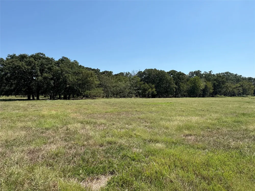 County Road 1168 #Tract 1 Brashear, TX 75420