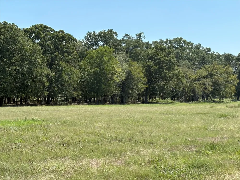 County Road 1168 #Tract 1 Brashear, TX 75420