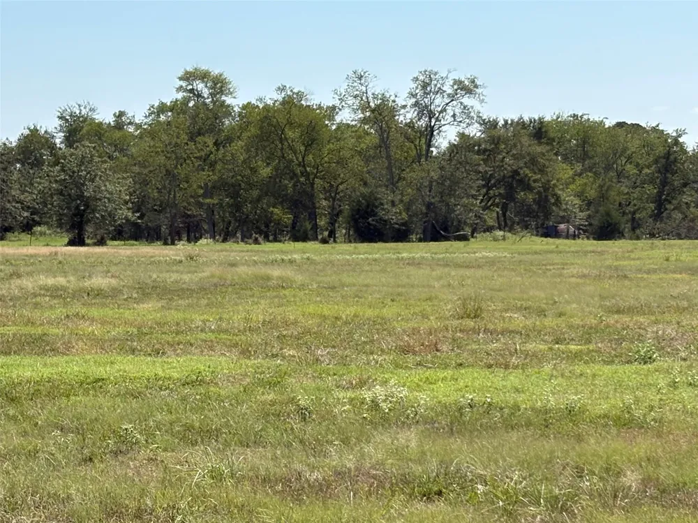 County Road 1168 #Tract 1 Brashear, TX 75420
