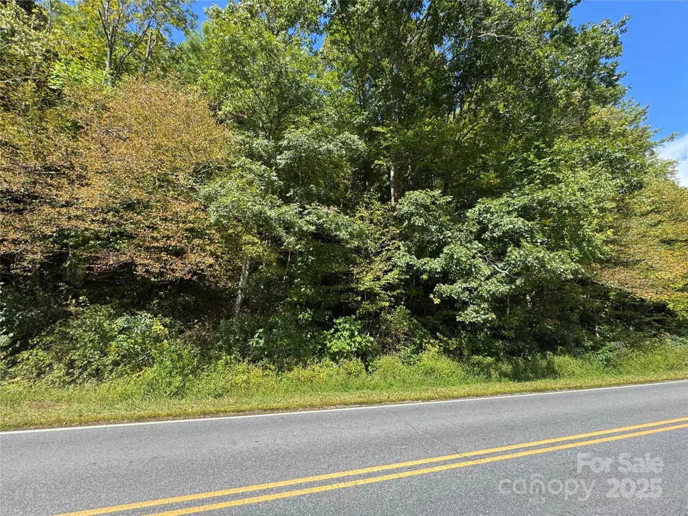 00 Puncheon Fork Road Mars Hill, NC 28754