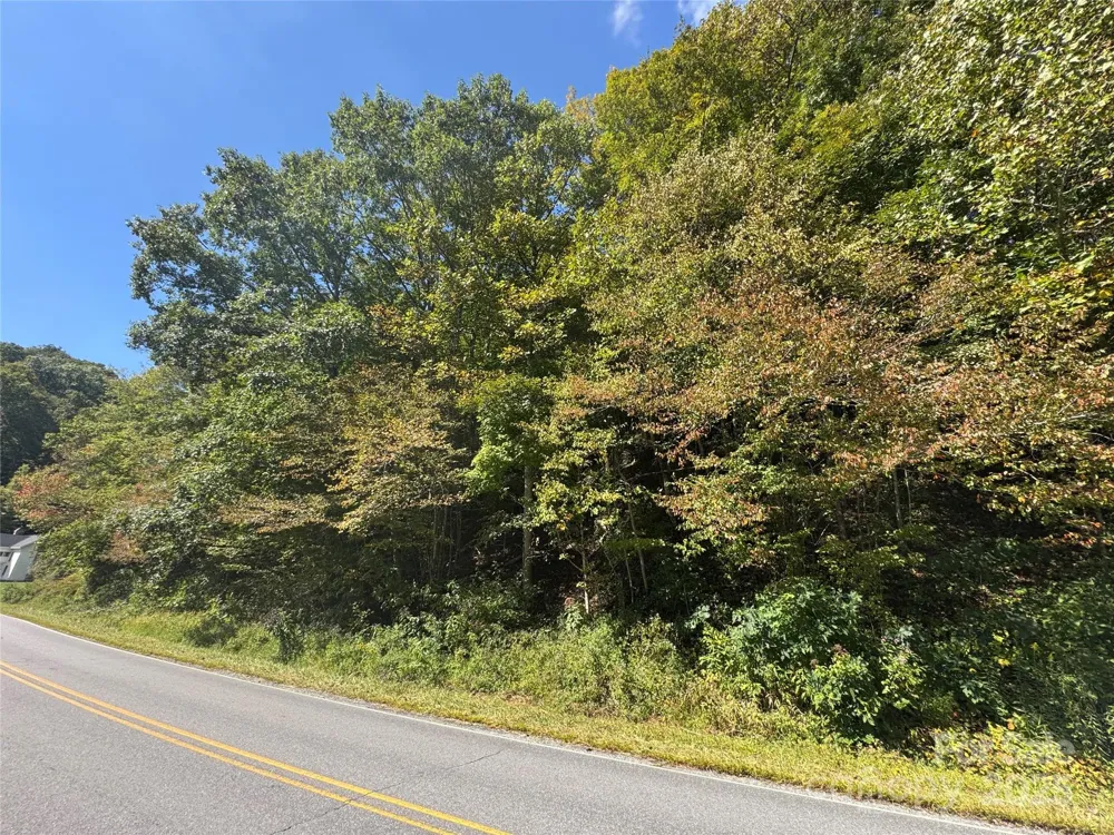 00 Puncheon Fork Road Mars Hill, NC 28754