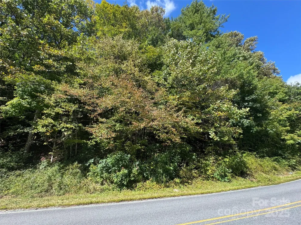 00 Puncheon Fork Road Mars Hill, NC 28754