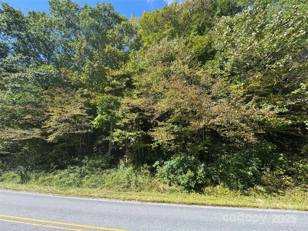00 Puncheon Fork Road Mars Hill, NC 28754