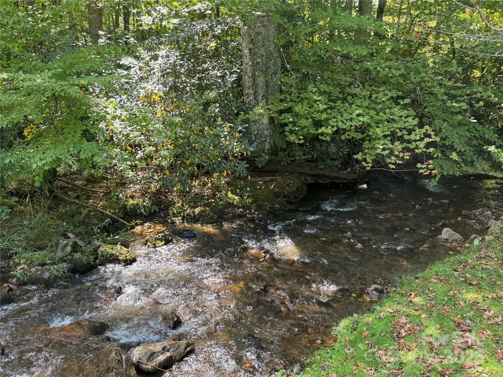 00 Puncheon Fork Road Mars Hill, NC 28754