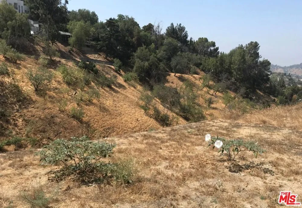 3628 Paseo Drive Glassell Park, CA 90065