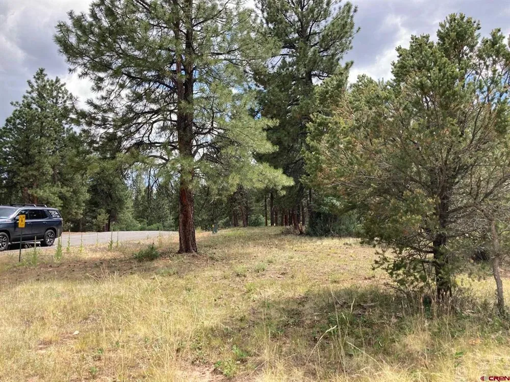 422 South Badger Trail Ridgway, CO 81432
