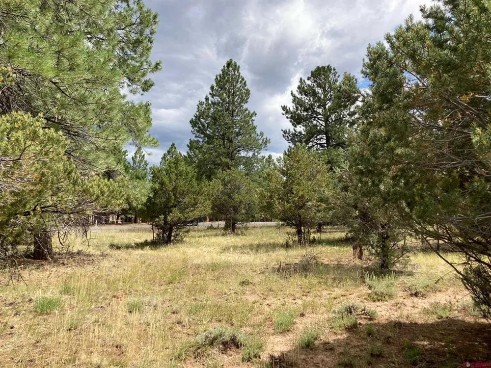 422 South Badger Trail Ridgway, CO 81432