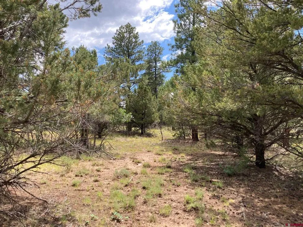 422 South Badger Trail Ridgway, CO 81432