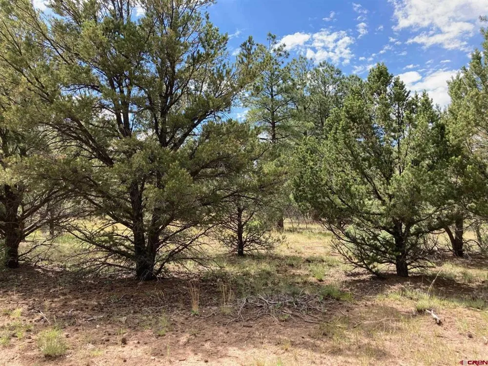 422 South Badger Trail Ridgway, CO 81432