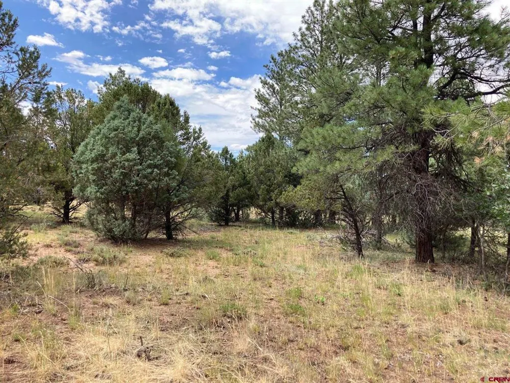 422 South Badger Trail Ridgway, CO 81432