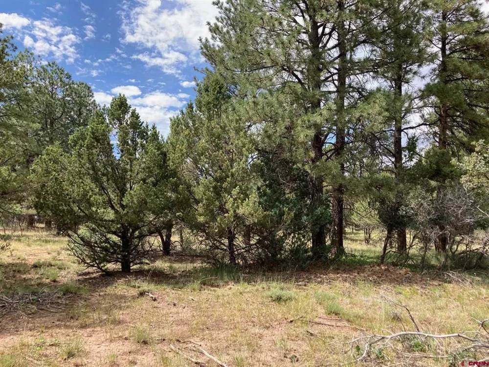 422 South Badger Trail Ridgway, CO 81432