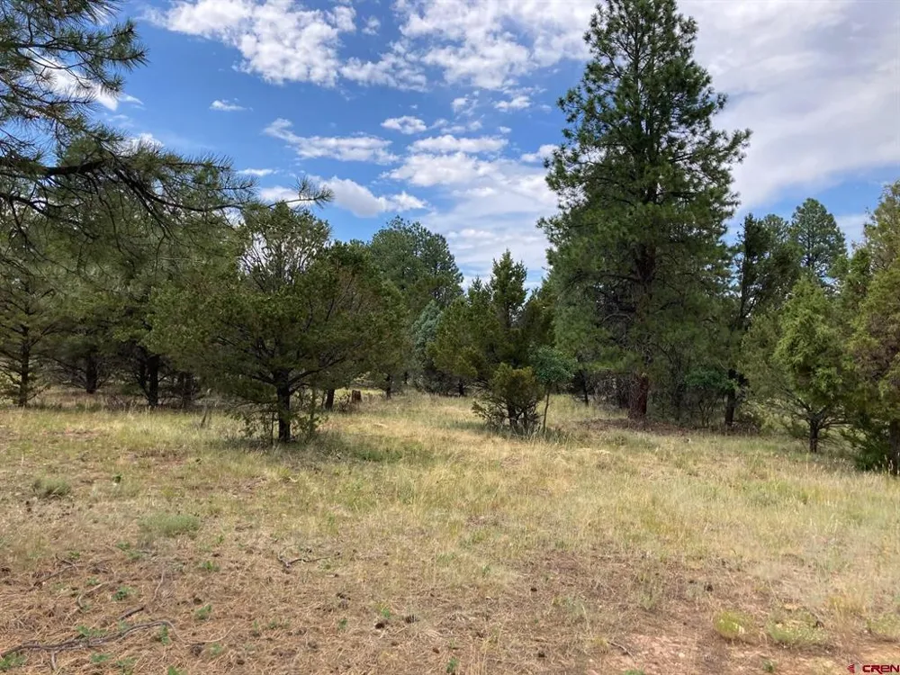 422 South Badger Trail Ridgway, CO 81432
