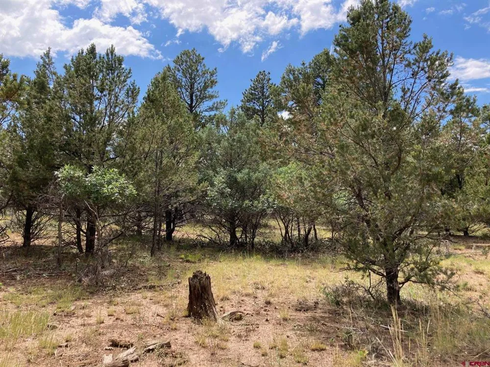 422 South Badger Trail Ridgway, CO 81432