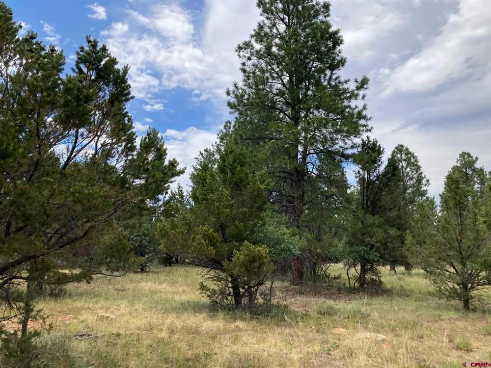 422 South Badger Trail Ridgway, CO 81432