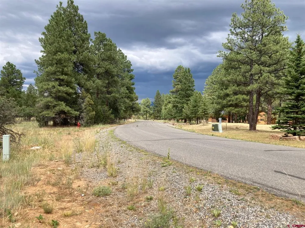 422 South Badger Trail Ridgway, CO 81432