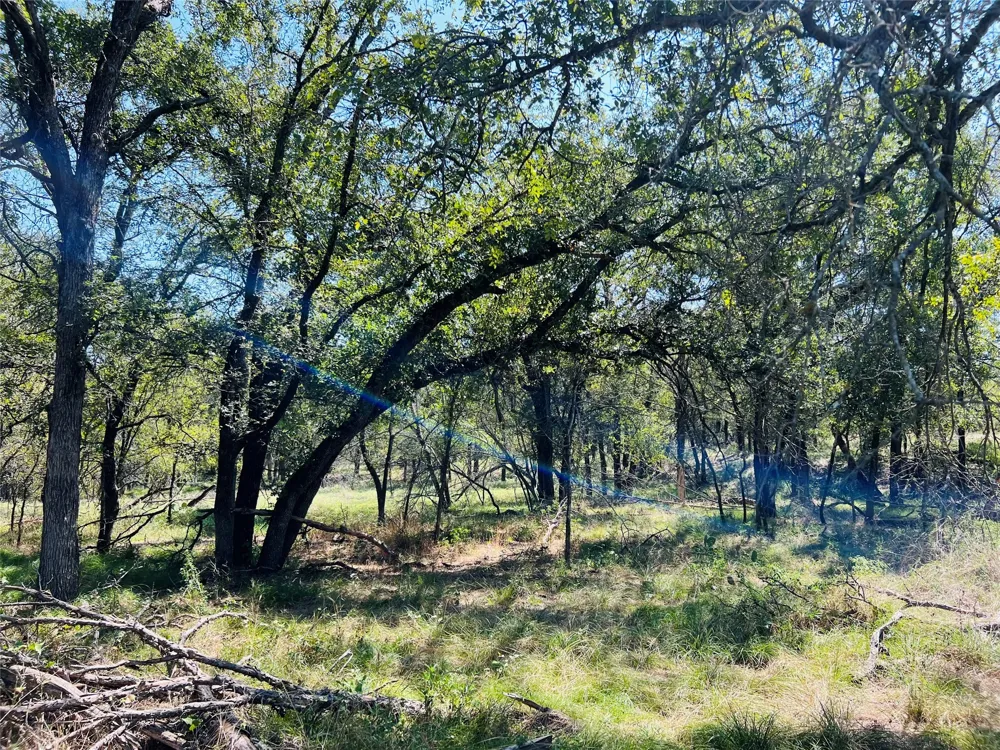 20 IH Santo, TX 76472