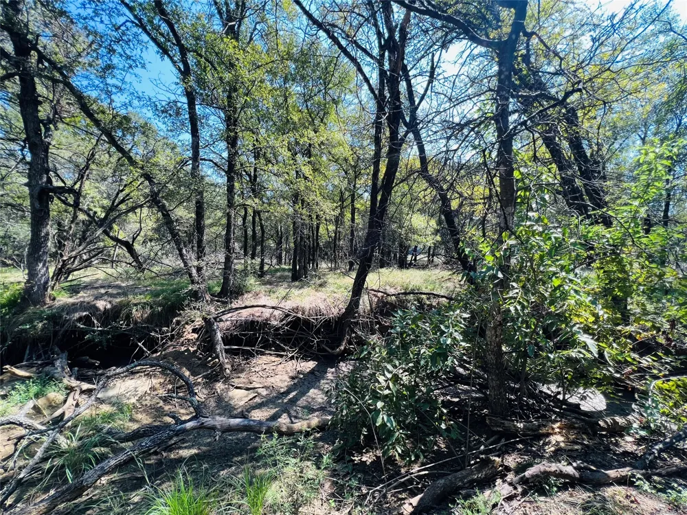 20 IH Santo, TX 76472