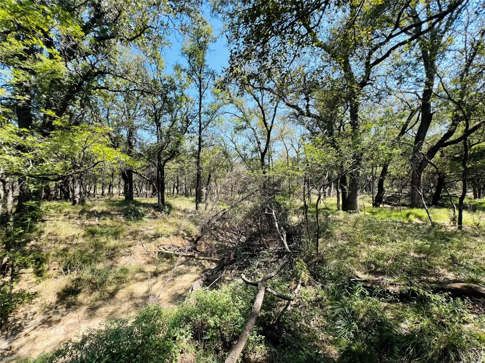 20 IH Santo, TX 76472
