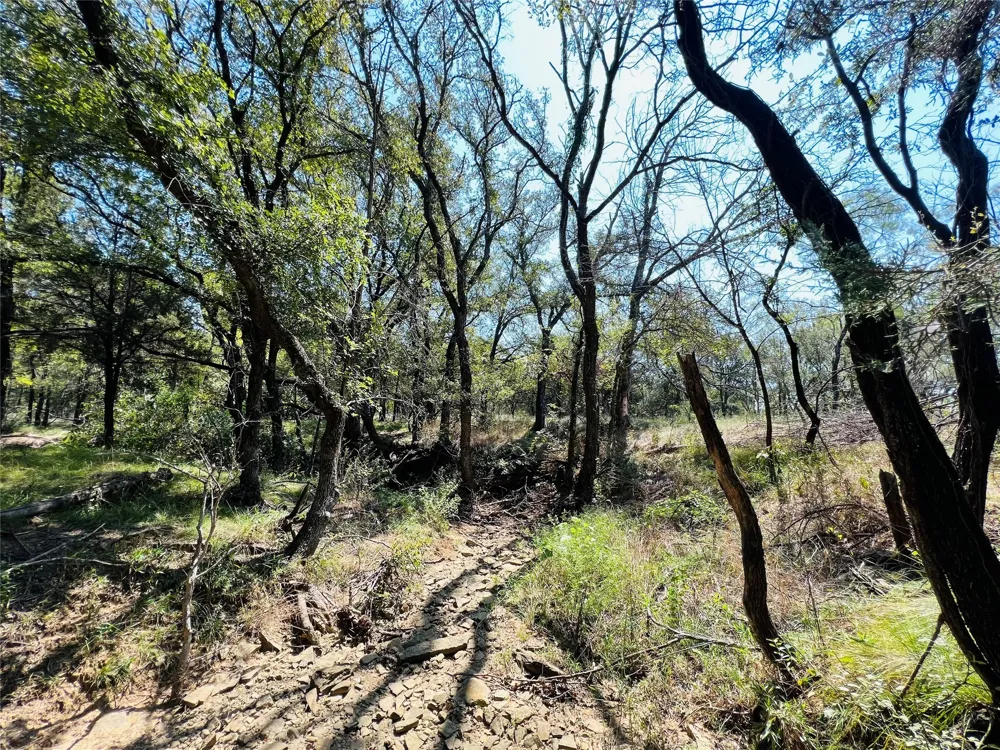 20 IH Santo, TX 76472