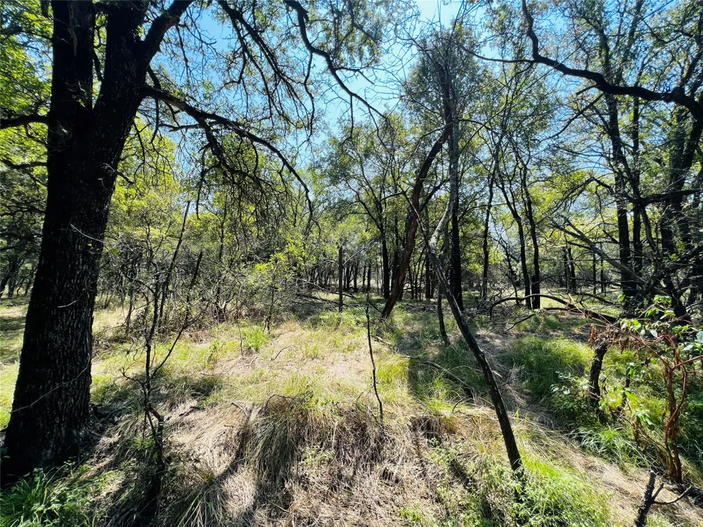 20 IH Santo, TX 76472