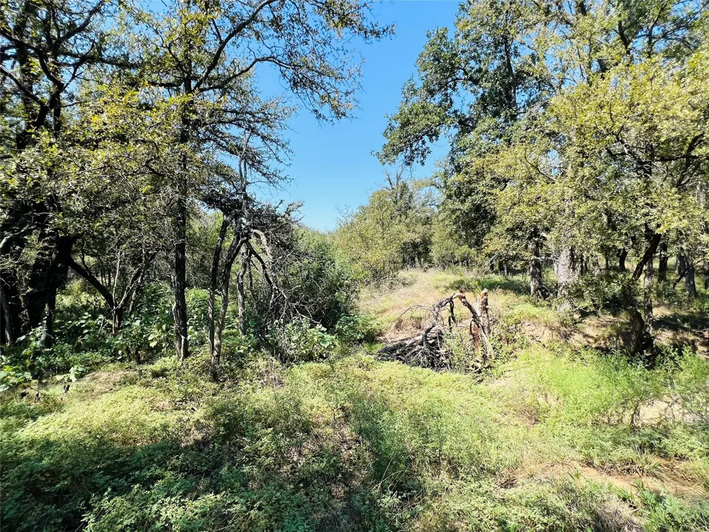 20 IH Santo, TX 76472