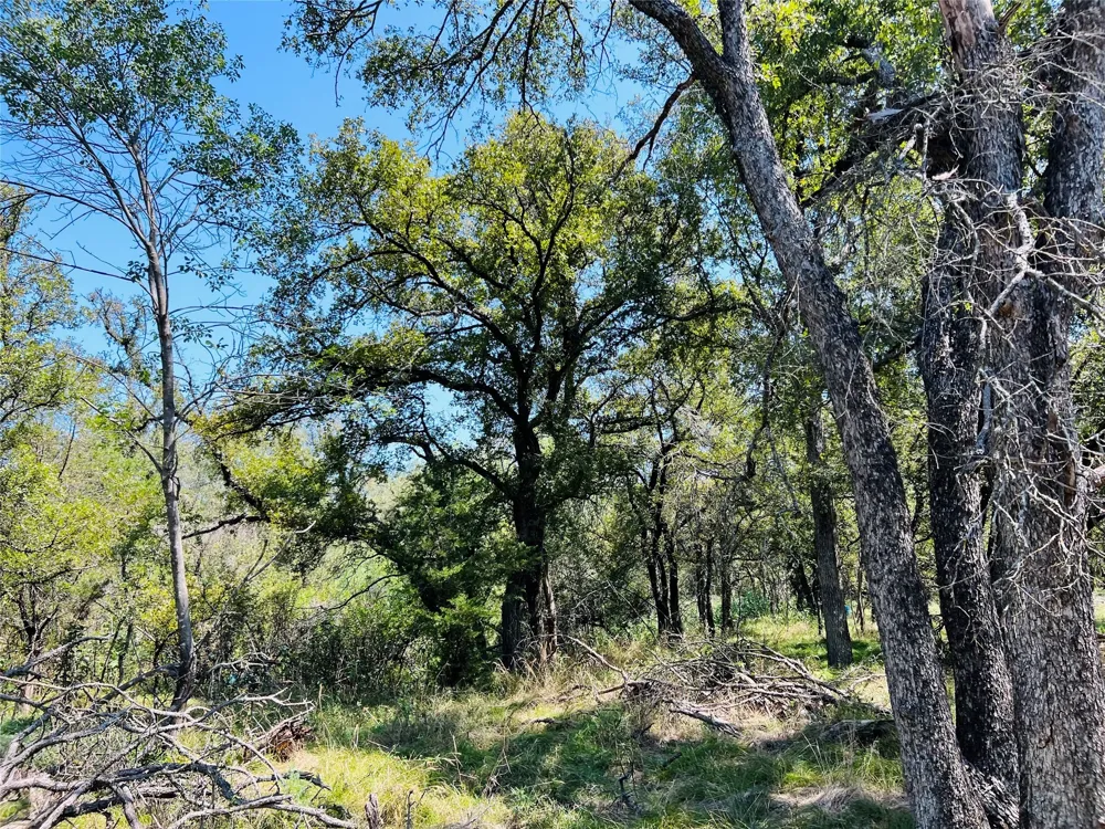 20 IH Santo, TX 76472