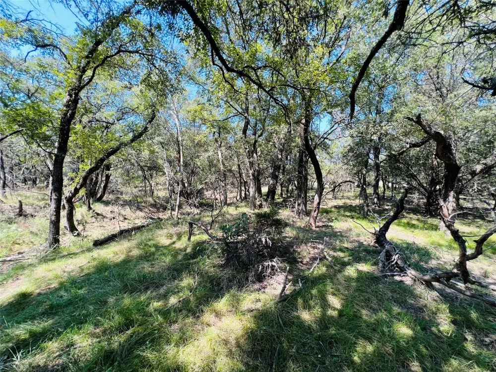 20 IH Santo, TX 76472