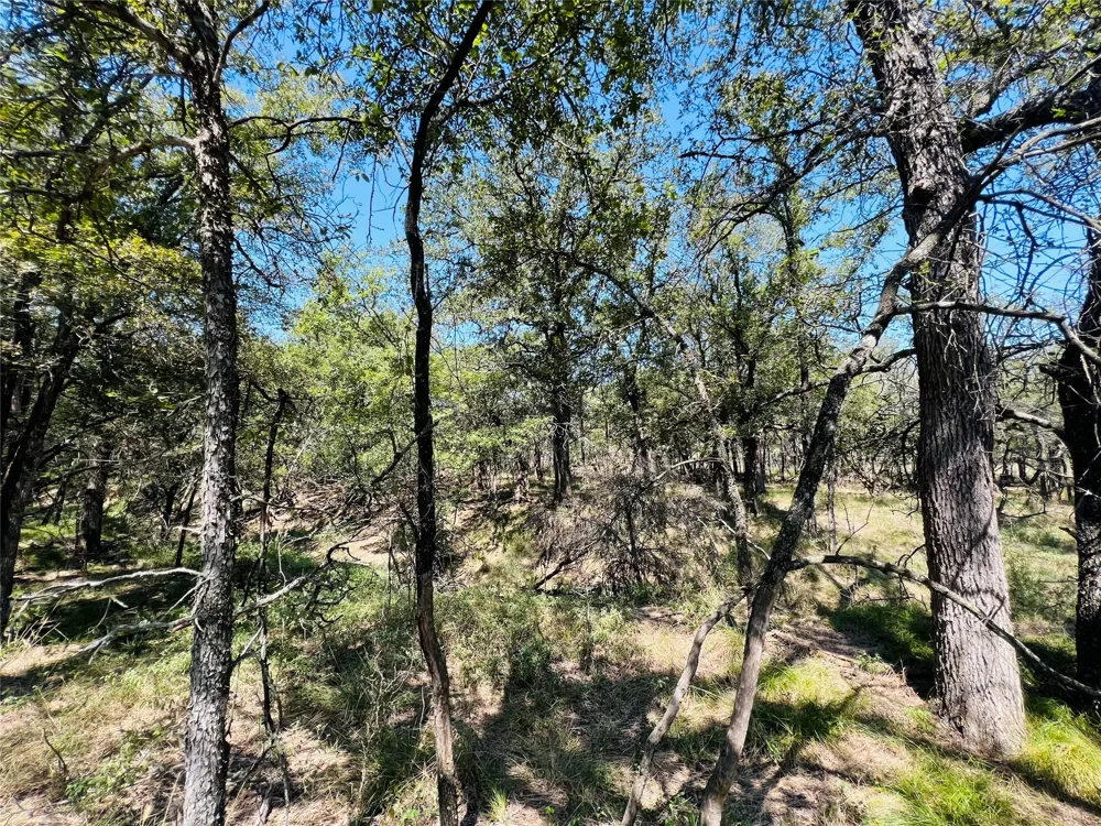 20 IH Santo, TX 76472