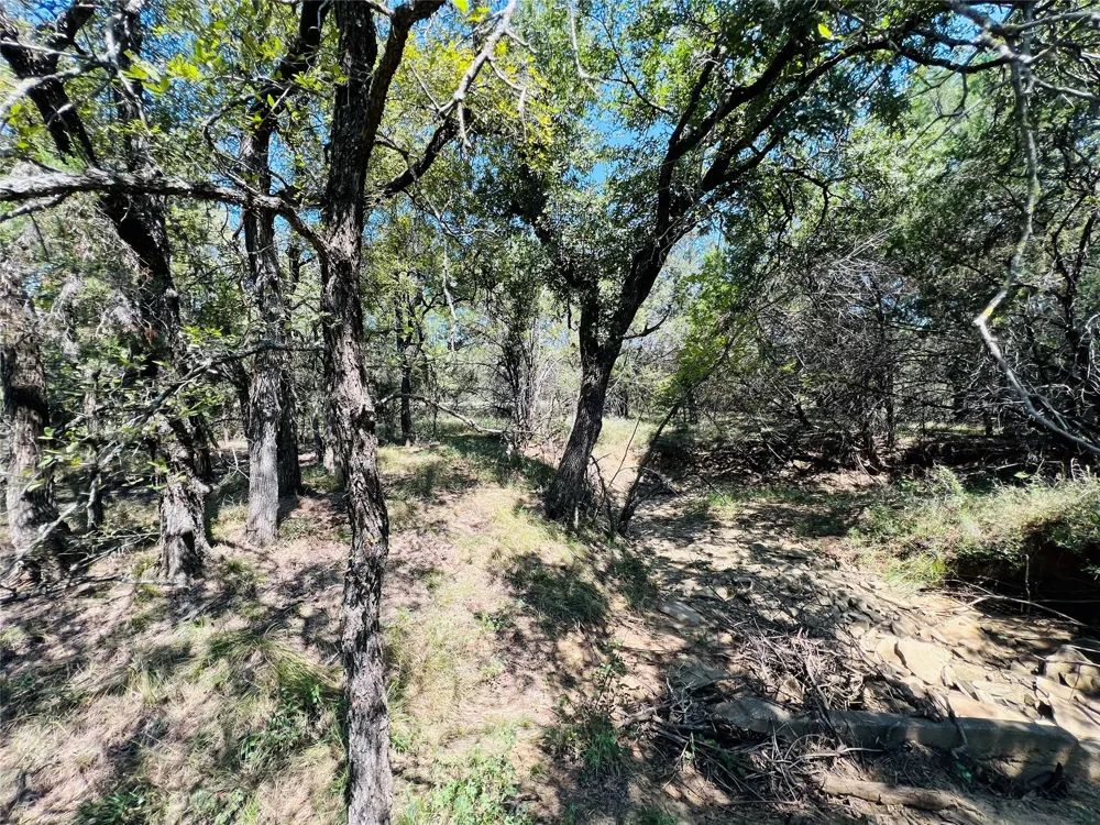 20 IH Santo, TX 76472