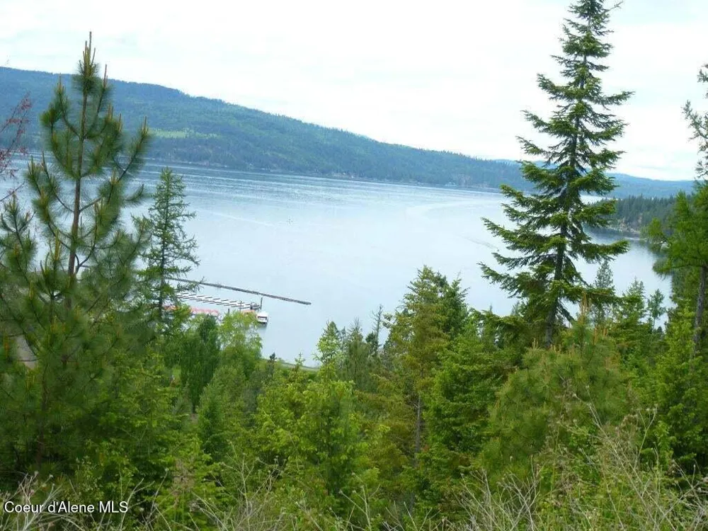 Lot 11 Flying Eagle Dr Harrison, ID 83833