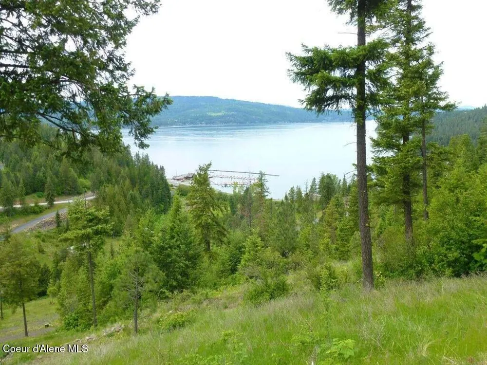 Lot 11 Flying Eagle Dr Harrison, ID 83833