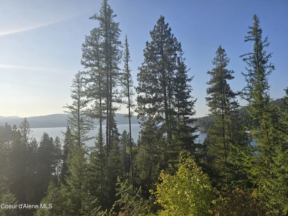 Lot 11 Flying Eagle Dr Harrison, ID 83833