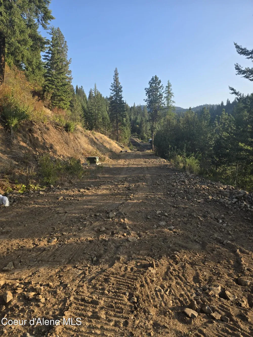 Lot 11 Flying Eagle Dr Harrison, ID 83833