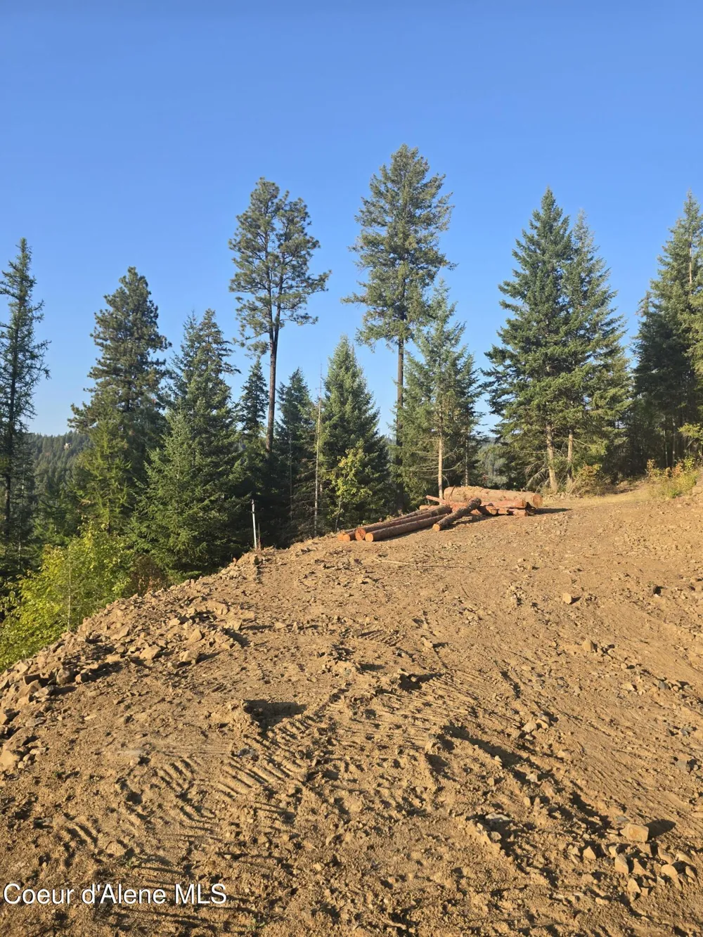 Lot 11 Flying Eagle Dr Harrison, ID 83833