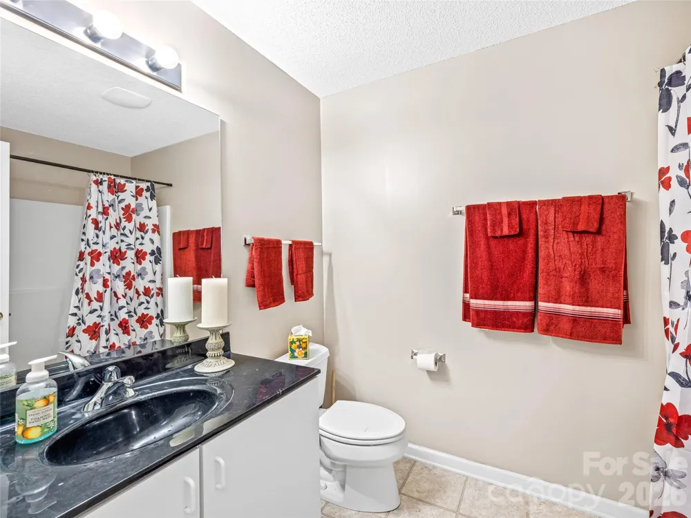 83 Farm Lane Mills River, NC 28759