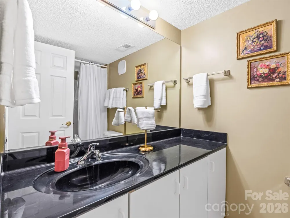 83 Farm Lane Mills River, NC 28759