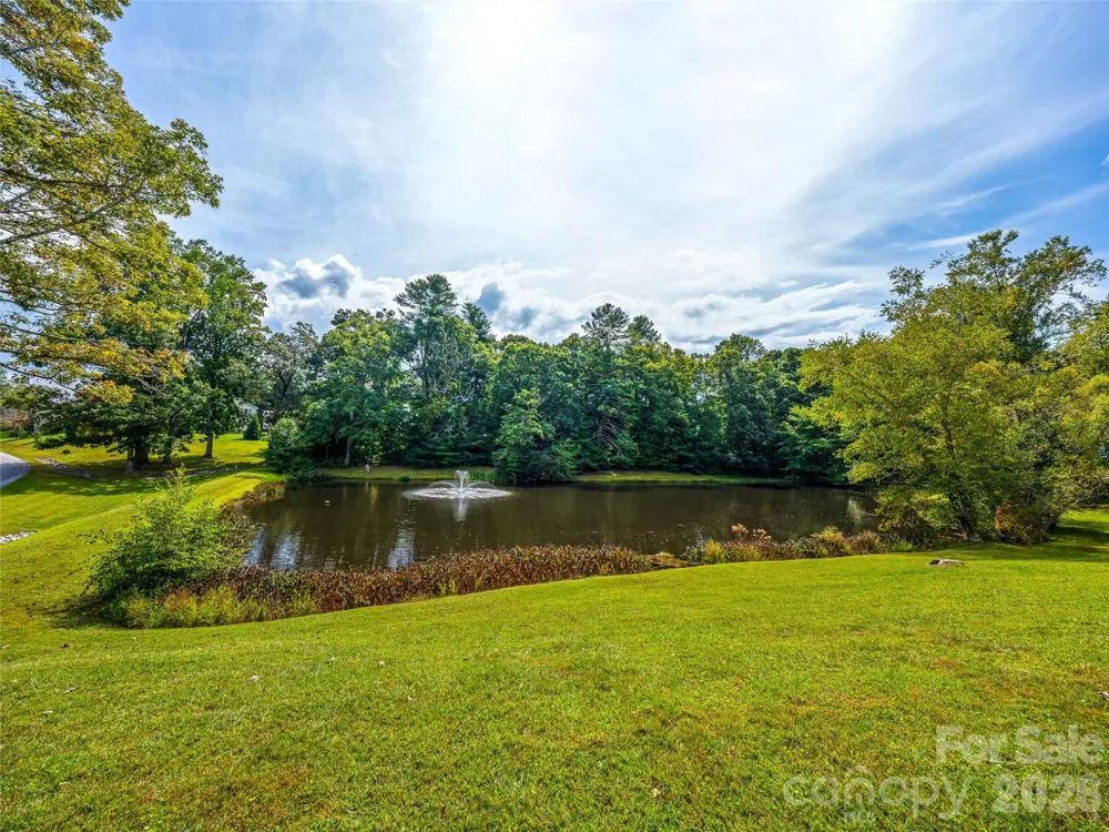 83 Farm Lane Mills River, NC 28759