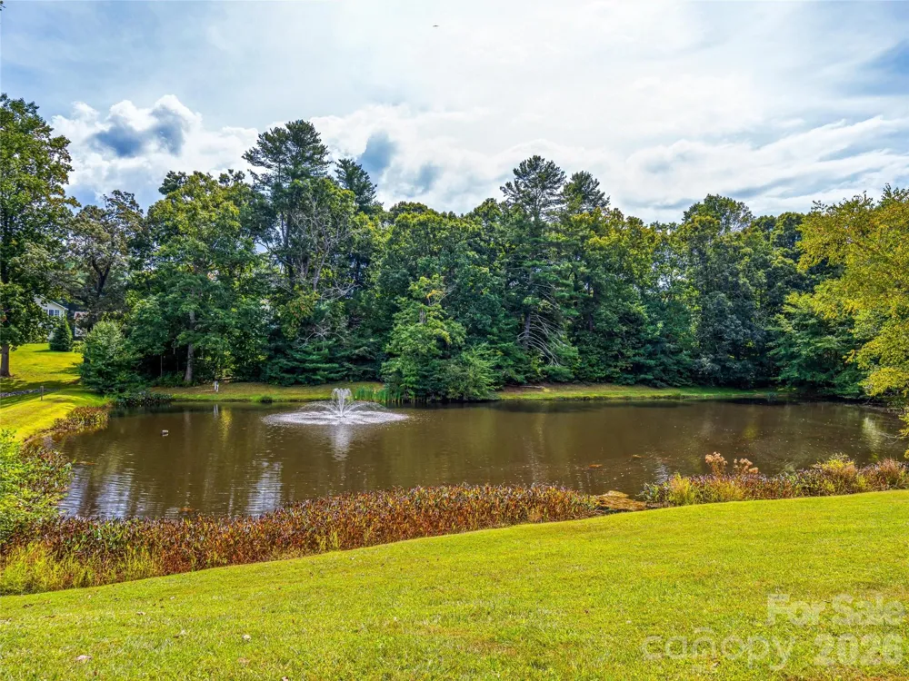 83 Farm Lane Mills River, NC 28759