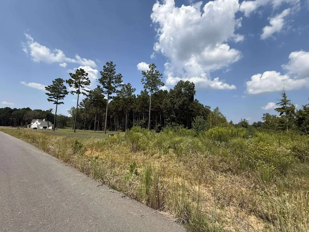 Bradleigh Boulevard Frierson, LA 71027