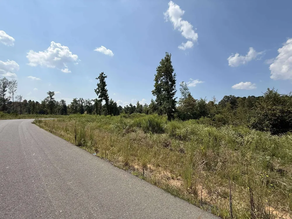 Bradleigh Boulevard Frierson, LA 71027