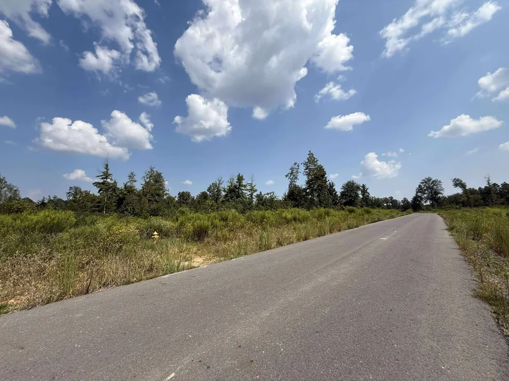 Bradleigh Boulevard Frierson, LA 71027