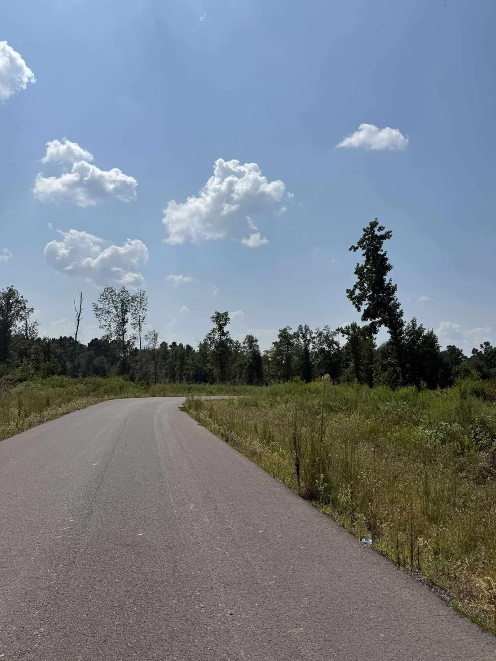 Bradleigh Boulevard Frierson, LA 71027